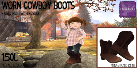 [ free bird ] TD Worn Cowboy Boots Dream Garden